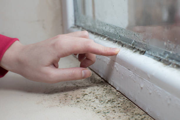 Best Real Estate Mold Inspection  in Eldorado At Santa Fe, NM